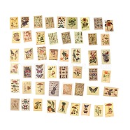 50Pcs 50 Styles PVC Plastic Plant Decorative Stickers Sets, Waterproof Adhesive Decals for DIY Scrapbooking, Photo Album Decoration, Rectangle, Mixed Patterns, 56~70x41~50x0.1mm, 1pc/style(X-STIC-P004-29)