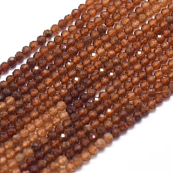 Natural Orange Garnet Beads Strands, Faceted, Gradient Style, Round, 3mm, Hole: 0.5mm, about 153pcs/strand, 15.35 inch(39cm)(G-D0013-11)