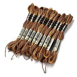 10 Skeins 6-Ply Polyester Embroidery Floss, Cross Stitch Threads, Segment Dyed, Saddle Brown, 0.5mm, about 8.75 Yards(8m)/skein(OCOR-K006-A39)