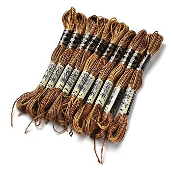 10 Skeins 6-Ply Polyester Embroidery Floss, Cross Stitch Threads, Segment Dyed, Saddle Brown, 0.5mm, about 8.75 Yards(8m)/skein