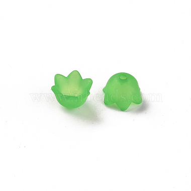 Transparent Acrylic Beads Caps(PL543-9)-5