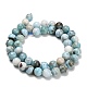Natural Larimar Beads Strands(GG-D001-A01)-5