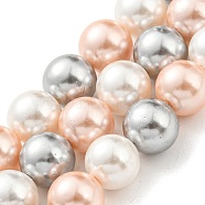 Electroplated Natural Shell Beads Strands, Imitation Pearl, Dyed, Round, Sandy Brown, 8mm, Hole: 0.8mm, about 52pcs/strand, 15.94 inch(40.5cm)(SHEL-F008-03B-04)