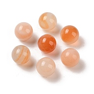 Natural Red Agate No Hole Sphere Beads, Round, 12mm(G-K353-04B-31)