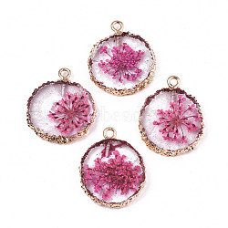 Transparent Clear Epoxy Resin & Dried Flower Pendants, with Edge Light Gold Plated Iron Loops, Flat Round, Hot Pink, 25~26x20~21x4.5mm, Hole: 1.8mm(RESI-S383-075-C03)