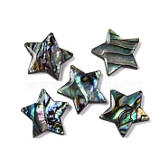 Natural Paua Shell Epoxy Resin Cabochons, Star, 15x16x2.5mm(SSHEL-S279-01F)