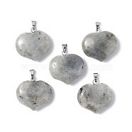 Natural Labradorite Pendants, Heart Charms, with Platinum Tone Brass Findings, 23.5x25x8.5mm, Hole: 5x3.5mm(G-G956-D01)