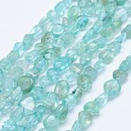 Natural Apatite Beads Strands, Chip, Blue, 5~11x5~7mm, Hole: 1mm, 15.3 inch~15.7 inch(39~40cm)(G-K203-50B)