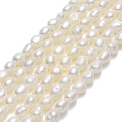Natural Cultured Freshwater Pearl Beads Strands, Two Sides Polished, Linen, 5~5.5x3.8~4.2mm, Hole: 0.6mm, about 67~68pcs/strand, 14.57''(37cm)(PEAR-J006-11A-01)