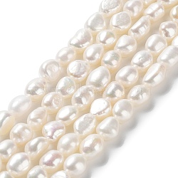 Natural Cultured Freshwater Pearl Beads Strands, Two Side Polished, Grade 6A, Seashell Color, 7~8x7~8x6~7mm, Hole: 0.6mm, about 41~42pcs/strand, 13.78''(35~35.5cm)(PEAR-Z002-16)