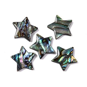 Natural Paua Shell Epoxy Resin Cabochons, Star, 15x16x2.5mm