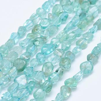 Natural Apatite Beads Strands, Nuggets, Blue, 5~11x5~7mm, Hole: 1mm, 15.3 inch~15.7 inch(39~40cm)