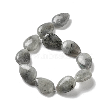 Natural Labradorite Beads Strands(G-P528-L03-01)-3