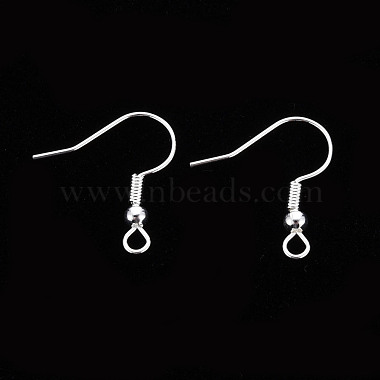 304 Stainless Steel Earring Hooks(S057-42S)-2