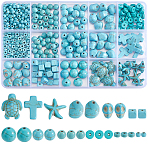 12 Styles Synthetic Turquoise Beads, Dyed, Mixed Shapes, Turquoise, 4~18x4~14x2~10mm, Hole: 1mm(TURQ-SP0001-01B)