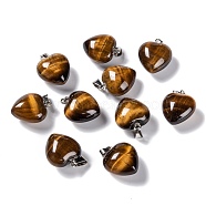 Natural Tiger Eye Pendants, with Platinum Brass Loops, Heart, 18~19x15~15.5x6~8mm, Hole: 6x2.5~3mm(G-I311-A07)