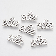Tibetan Style Alloy Charms, Number 2022, Lead Free & Cadmium Free, Antique Silver, 9.5x14x1.5mm, Hole: 1.8mm(X-TIBE-T010-37AS-RS)