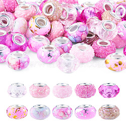 100Pcs 10 Styles Resin European Beads, Large Hole Beads, Imitation Porcelain, with Platinum Tone Brass Double Cores, Rondelle, Pink, 13.5~14x8.2~9mm, Hole: 5mm, 10pcs/style(RPDL-TA0001-14)