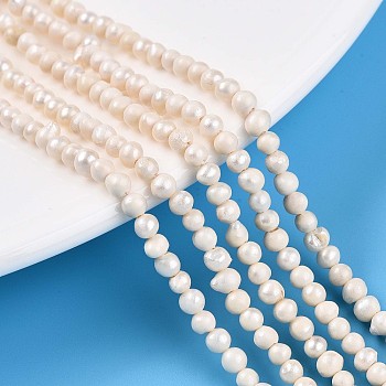 Natural Cultured Freshwater Pearl Beads Strands, Potato, Seashell Color, 2.5~4x2.5~5.5mm, Hole: 0.5mm, about 108pcs/strand, 12.76~12.99''(32.4~33cm)