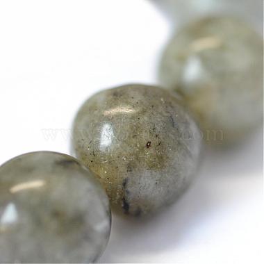 Natural Labradorite Round Bead Strands(G-E334-8mm-19)-4