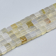 Natural White Agate Beads Strands, Cube, 6~6.5x6~6.5x6~6.5mm, Hole: 1mm, about 65pcs/strand, 16.1 inch(G-S357-G10)