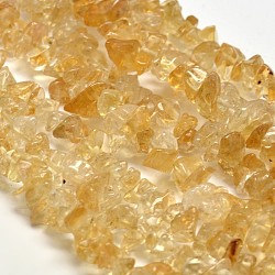 Chip Natural Citrine Beads Strands, Dyed & Heated, 5~8x5~8mm, Hole: 1mm, 34 inch(X-G-N0134-21)