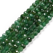 Natural Fuchsite Beads Strands, Faceted, Round, 3mm, Hole: 0.6mm, about 126pcs/strand, 15.16 inch(38.5cm)(G-C009-A13)