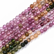 Gradient Style Natural Tourmaline Strands, Faceted, Round, 2.5mm, Hole: 0.5mm, about 181pcs/strand, 15.55 inch(39.5cm)(G-S362-075)