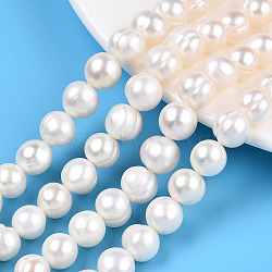 Natural Cultured Freshwater Pearl Beads Strands, Potato, Seashell Color, 9~10x9~11mm, Hole: 0.6mm, about 39pcs/strand, 14.57~14.76 inch(37~37.5cm)(PEAR-N013-09C)