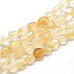 Natural Citrine Beads Strands, Oval, 6~10x4~7x4~7mm, Hole: 1mm, about 43~62pcs/strand, 15.7 inch(G-R445-6x8-16)