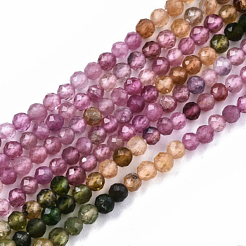 Gradient Style Natural Tourmaline Strands, Faceted, Round, 2.5mm, Hole: 0.5mm, about 181pcs/strand, 15.55 inch(39.5cm)