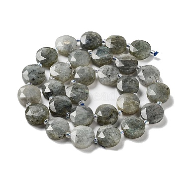 Natural Labradorite Beads Strands(G-NH0004-001)-3