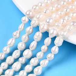 Natural Baroque Pearl Keshi Pearl Beads Strands, Cultured Freshwater Pearl, Teardrop, Creamy White, 5~9x5~7mm, Hole: 0.6mm, about 56~59pcs/strand, 15.16~15.55 inch(38.5~39.5cm)(PEAR-S020-F04-01)