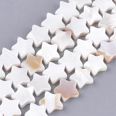Freshwater Shell Beads Strands(SHEL-Q021-07)-1
