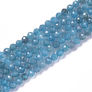 Natural Apatite Beads Strands, Faceted, Round, 2~2.5x2mm, Hole: 0.2mm, about 158~205pcs/strand, 15.7~16.7 inch(40~42.5cm)(X-G-F596-29-2mm)