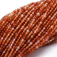 Natural Carnelian Beads Strands, Round, 2mm, Hole: 0.5mm, about 195pcs/strand, 15.35 inch(39cm)(G-A177-04-19)