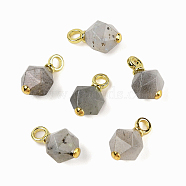 Natural Grey Moonstone Pendants, Faceted Bicone Charms with Rack Plating Brass Real 18K Gold Plated Findings, Long-Lasting Plated, 17x10mm, Hole: 3mm(G-C148-01B-G)