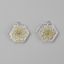 Transparent Clear Resin Pendants, with Dried Flower, Platinum Iron Loop, Hexagon, Beige, 28x27x4mm, Hole: 1.8mm, 2pcs/bag(RESI-TAC0007-07B)