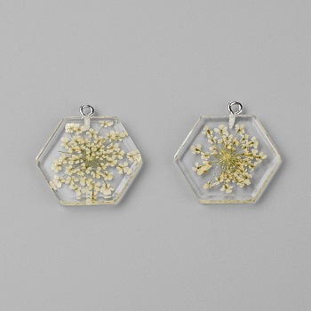 Transparent Clear Resin Pendants, with Dried Flower, Platinum Iron Loop, Hexagon, Beige, 28x27x4mm, Hole: 1.8mm, 2pcs/bag