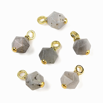 Natural Grey Moonstone Pendants, Faceted Bicone Charms with Rack Plating Brass Real 18K Gold Plated Findings, Long-Lasting Plated, 17x10mm, Hole: 3mm