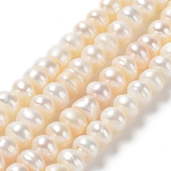 Natural Cultured Freshwater Pearl Beads Strands, Grade 2A, Rondelle, PapayaWhip, 5~6x3~4mm, Hole: 0.5mm, about 101pcs/strand, 15.47 inch(39.3cm)