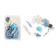 Dried Flowers, DIY Candle Soap Making Accessories, with Plastic Rectangle Box, Mixed Color, 2.4~13x1.4~10.8cm(X-DIY-D052-19)
