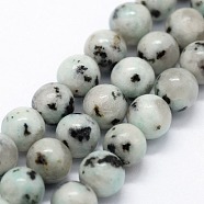 Natural Sesame Jasper/Kiwi Jasper Beads Strands, Round, 6~6.5mm, Hole: 0.5mm, about 63pcs/strand,  14.96 inch(38cm)(X-G-I199-29-6mm)