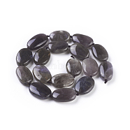Natural Purple Agate Beads Strands, Oval, 21~26x14~17x6~9mm, Hole: 1mm, about 17pcs/strand, 17.1 inch(43.5cm)(G-F645-01)