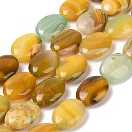 Natural Striped Agate/Banded Agate Beads Strands, Flat Oval, Dyed & Heated, Goldenrod, 18~19x24x7~8mm, Hole: 1.2mm, about 16pcs/strand, 15.75''(40cm)(G-Q182-01B)