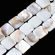 Natural Freshwater Shell Beads Strands, Square, Seashell Color, 12x12x2.5~3mm, Hole: 1mm, about 32pcs/strand, 15.28~15.39 inch(38.8~39.1cm)(SHEL-Q024-014)