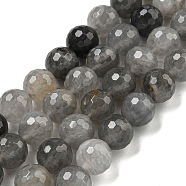 Natural Cloudy Quartz Beads Strands, (128 Facets)Faceted, Round, Round, 10mm, Hole: 1.2mm, about 37pcs/strand, 14.96 inch(38cm)(G-E571-A08-03)