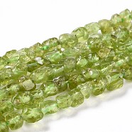 Natural Peridot Beads Strands, Chip, 5~8x5x4~5mm, Hole: 0.8mm, about 67pcs/Strand, 15.75 inch(40cm)(X-G-D0004-A02-03)