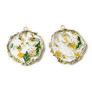 Transparent Resin Pendants, Flat Round Charms with Dried flowers & Gold Foil Inside, with Light Gold Plated Brass & Iron Findings, Green, 34~35x31~32x5~6mm, Hole: 1.8mm(RESI-D050-15LG)