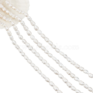 2 Strands Grade B Natural Cultured Freshwater Pearl Beads Strands, with Screw Thread, Rice, Creamy White, 7~8mm, Hole: 0.8mm, about 38pcs/strand, 13.77 inch~14.17 inch(PEAR-NB0001-26)